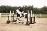 SBM_000207