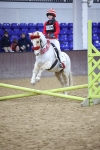 SBM_000221
