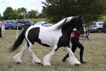 WJ6_5515