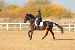 SBM_000875