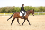 SBM_007431