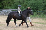 WJ7_9678