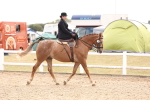 SBM_16390