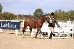 SBM_14263