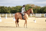 SBM_009094