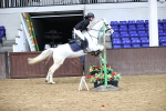 SBM_009937