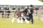 SBM_05951