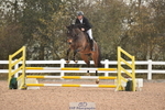 Cls 8 British Novice and 90cm Open portfolio
