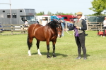 SBM_02172