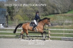 BPP_2893