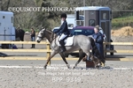 BPP_9349