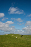 ACP_2457-1