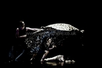 Australian Ballet portfolio