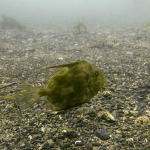 Jon Dory