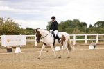SBM_006570