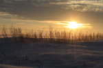 Snow Rays