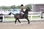SBM_01485