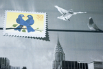 Assignment 2 - Pigeons