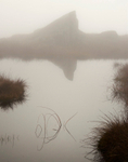 tarn, Ullscarf