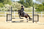 SBM_007338