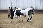 SBM_5656