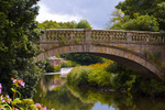 Pollok Park, Glasgow - 4431