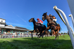 Race 6 4.50pm racingtv.com Handicap portfolio