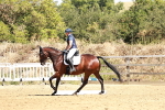 SBM_001560