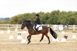 SBM_003628