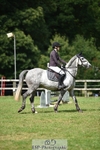 Cls 157 British Novice and 90cm Open portfolio
