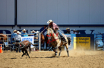 3HRodeo8-11-25_PRCASteer_03267_