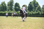 WJ6_7834