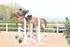 BPP_4665