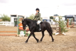 SBM_00317