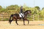 SBM_000433