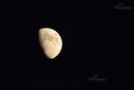 Teton Moon
