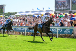 120725-Race 4-Al Qareem-0340