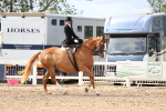SBM_03345