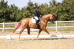 SBM_006587