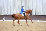 SBM_002280