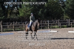 BPP_8514
