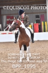 BPP_1095