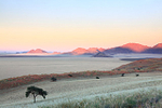 NAMIBIA 2012 portfolio