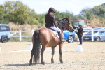 SBM_013967