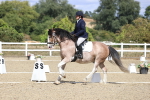 SBM_014572