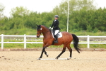 SBM_006554