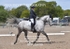BPP_6409