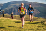 Sale Fell-387