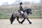 SBM_006320