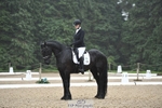 274-Paige_Beattie-Orcaber_Dark_Secret portfolio